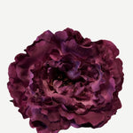 peonia p36
