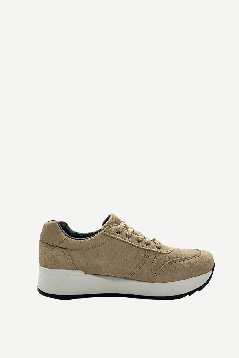 sneakerante1