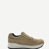 sneakerante1