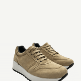sneakerante2