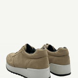 sneakerante3