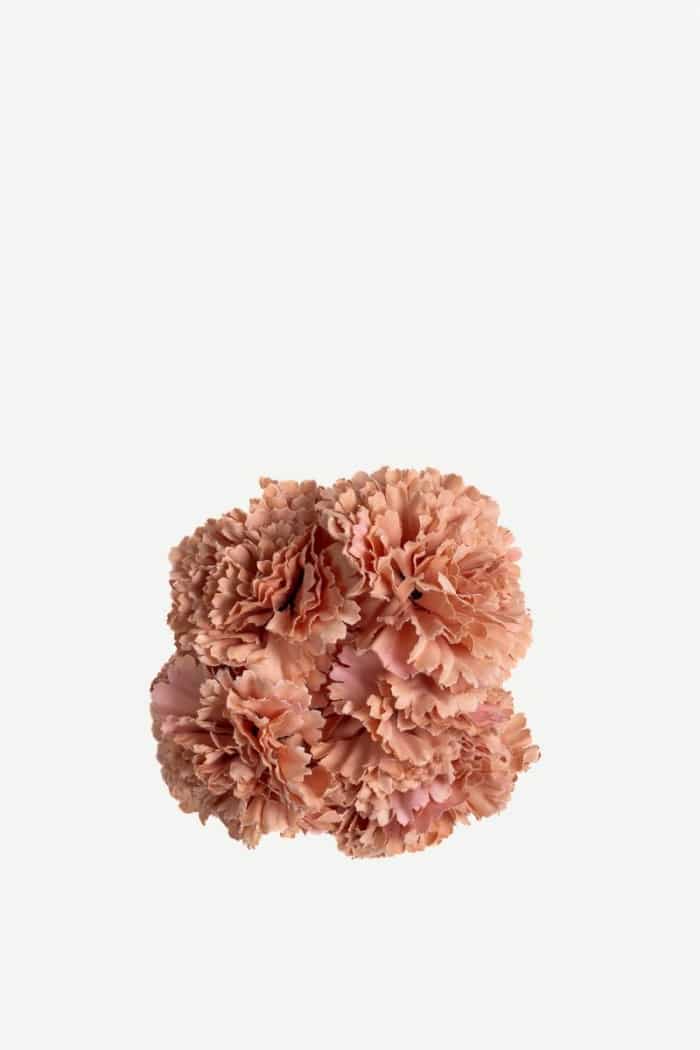 Flor clavel C27