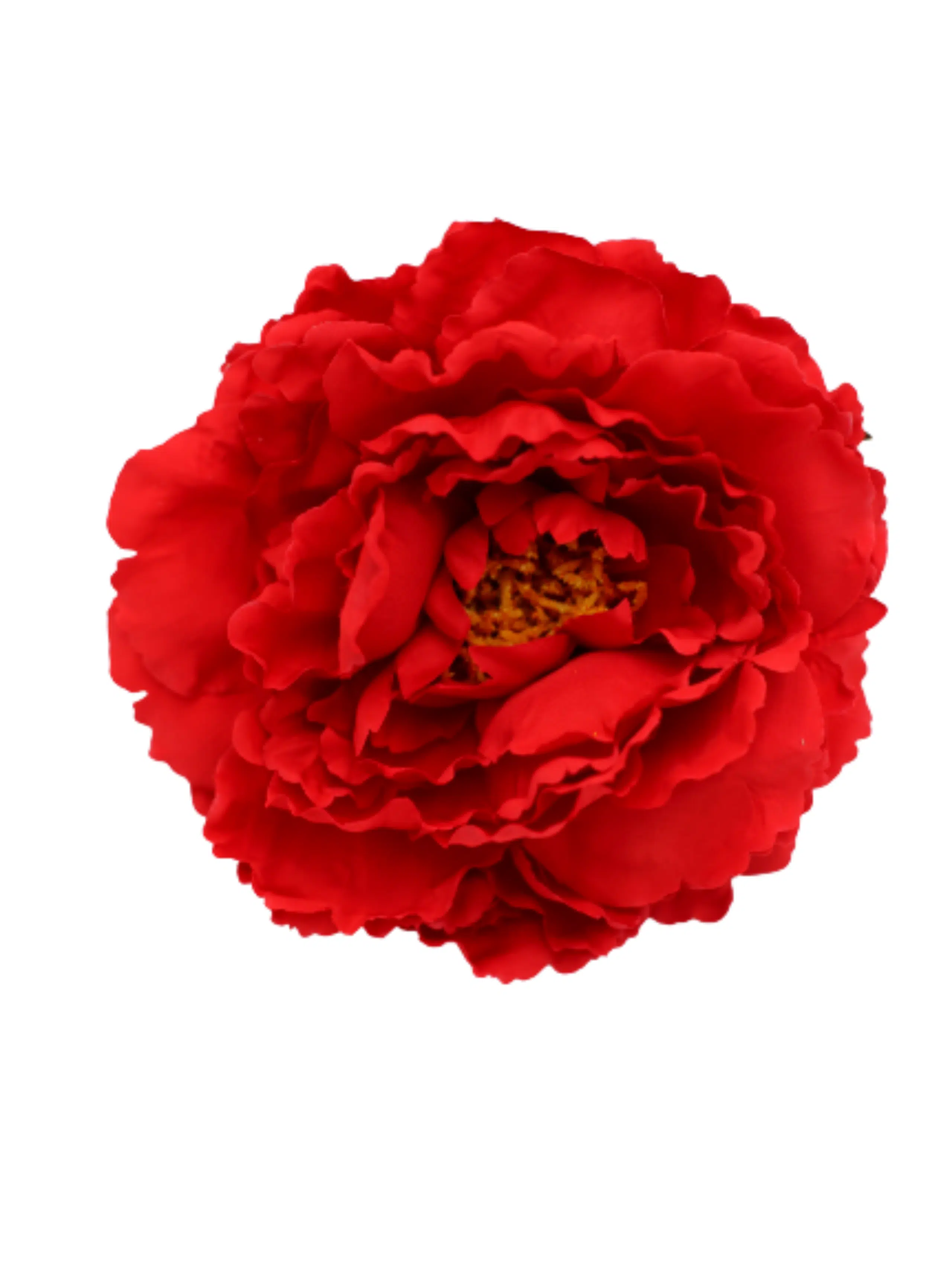 Peonia Rosa Fucsia | Flores de colores para feria | THE NOOK STORE