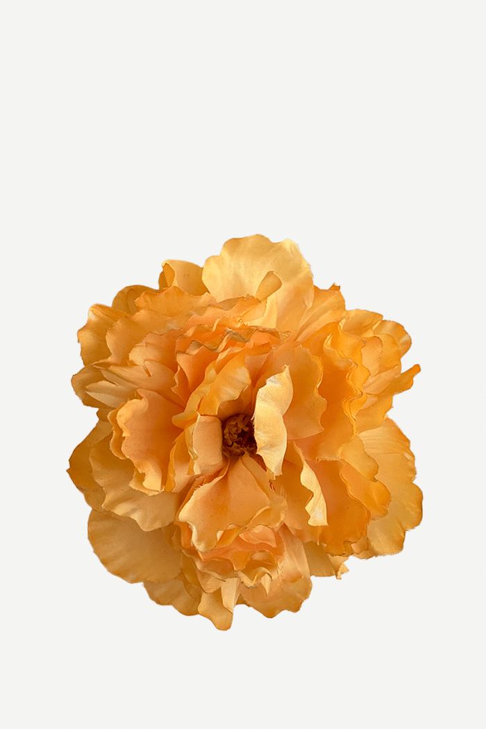 Flor Peonía FP05