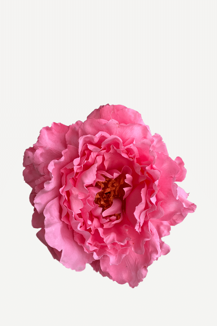 Flor Peonía FP18