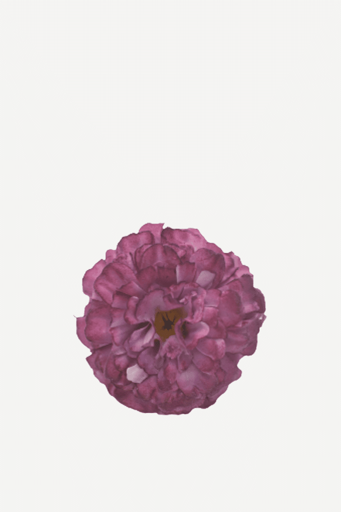 Flor evora FN04