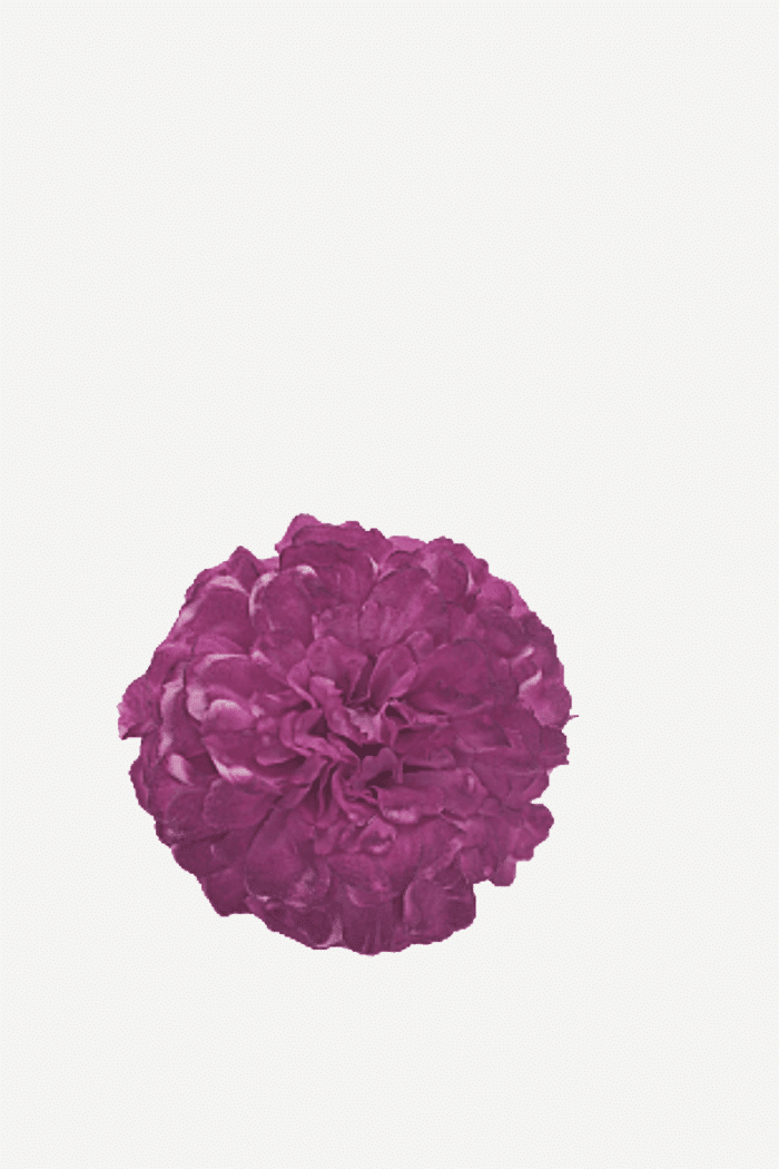 Flor sintra FN09