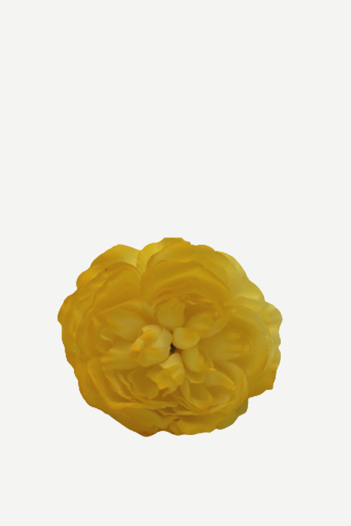 Flor sintra F06