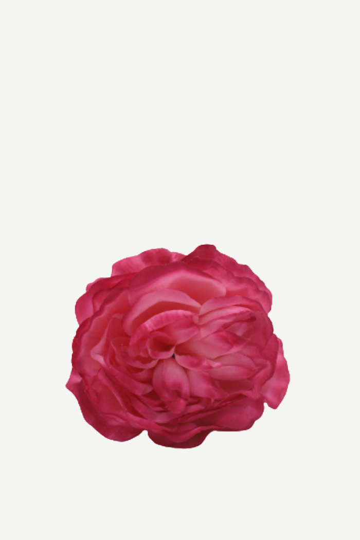 Flor sintra F12