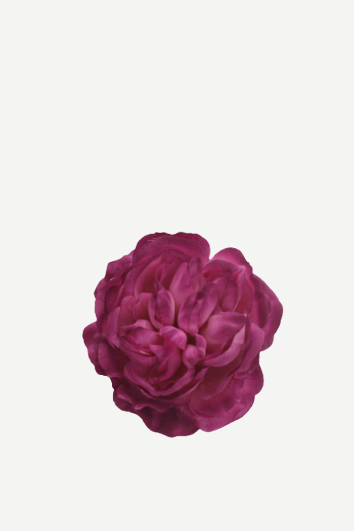 Flor sintra F25