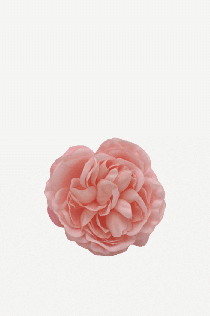 Flor sintra F27