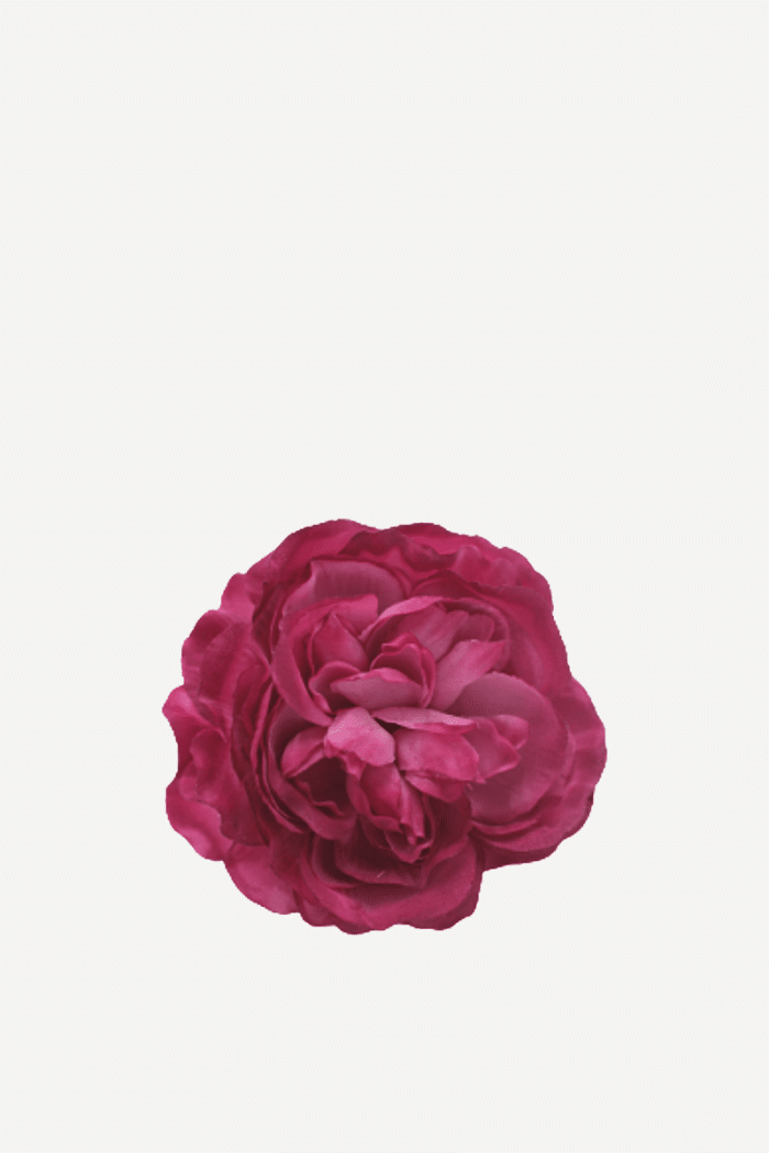Flor sintra F29