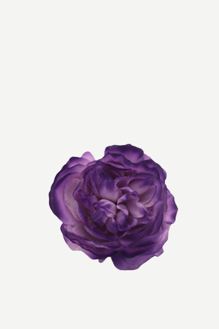 Flor sintra F22