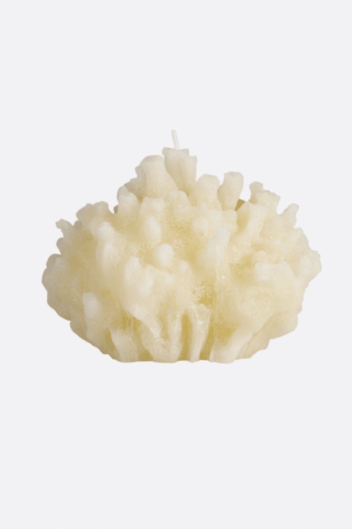 Vela coral natural