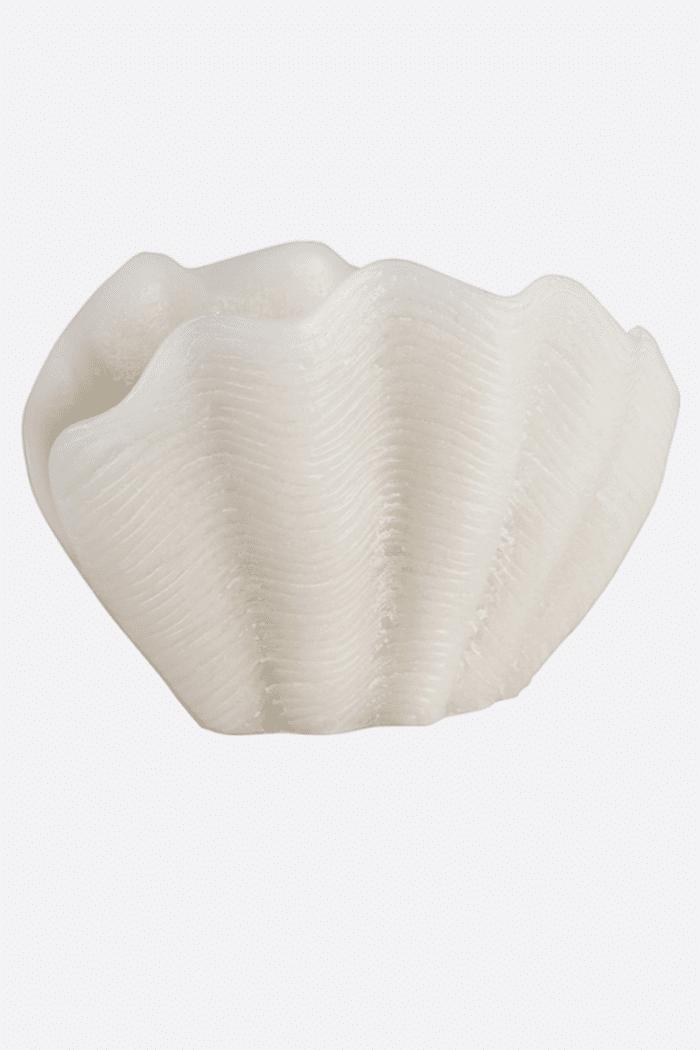 Vela concha blanca
