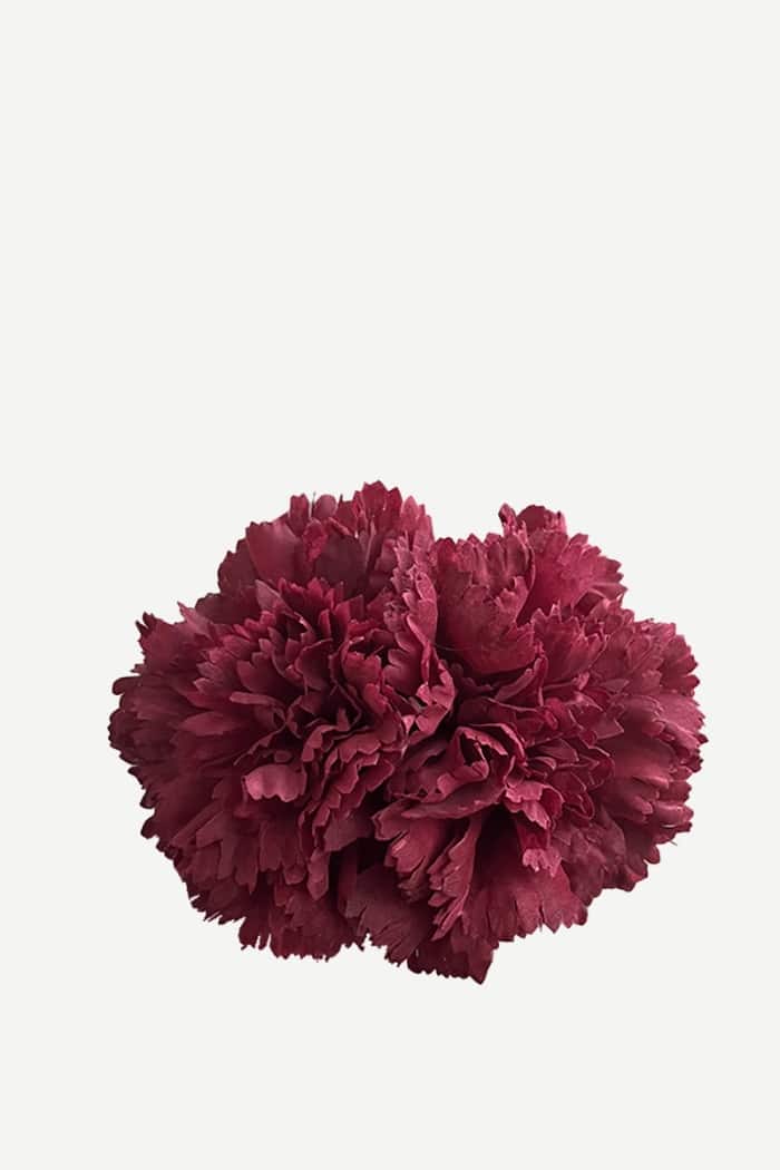Flor Clavel Doble F2C06
