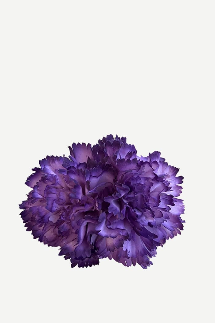 Flor Clavel Doble F2C13