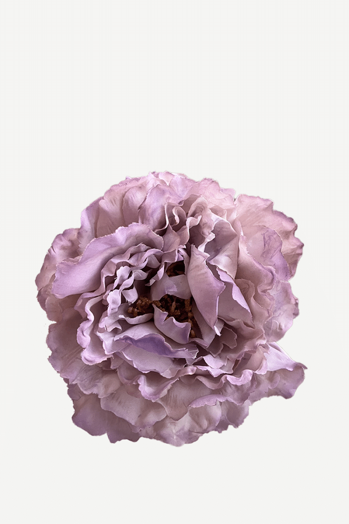 Flor Peonía FP25