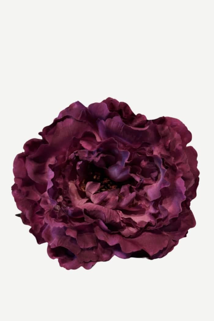 Flor peonía P36