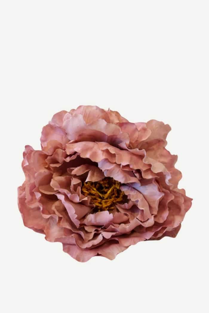 Flor peonía P39