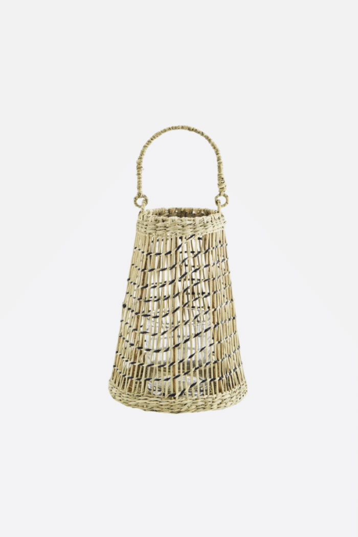 Candelabro seagrass
