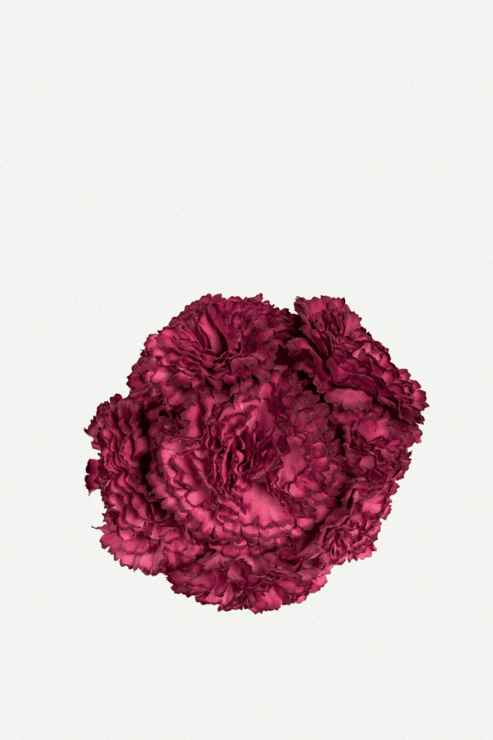 Flor Clavel De 6 64T- 125