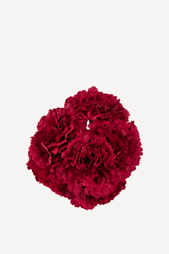 Flor Clavel De 6 64T-Fresón