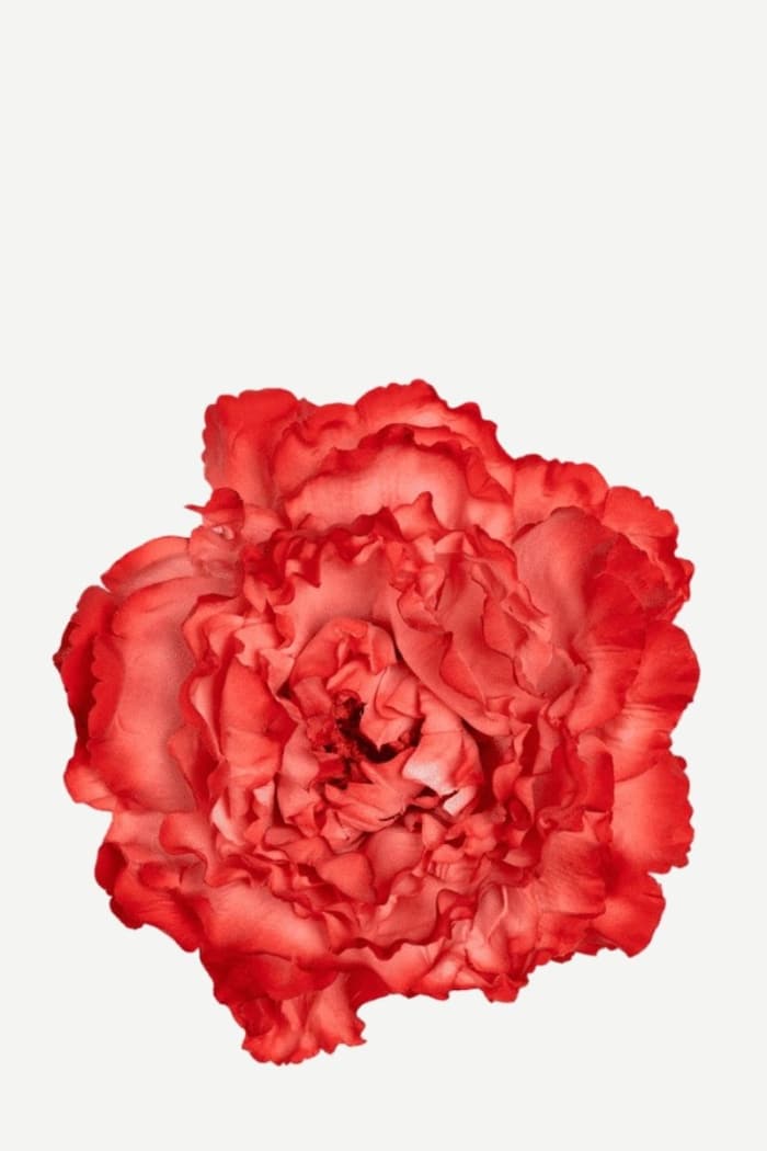 Flor Peonía Grande 10T-128
