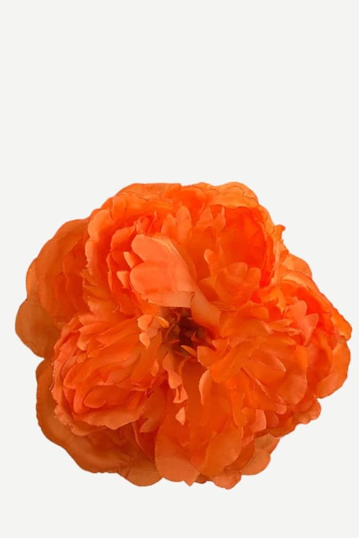 Flor Peonía Pequeña FPP03
